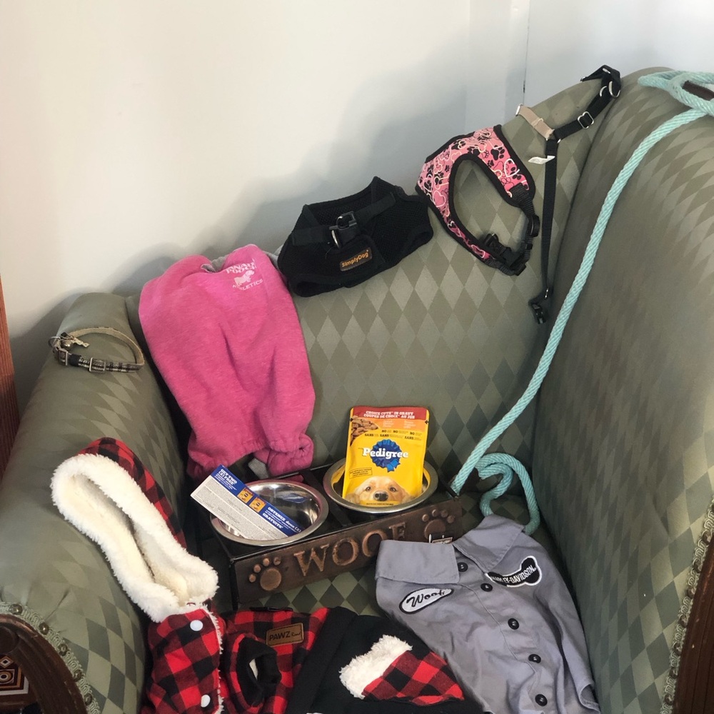 Small Dog & Puppy Bundle: Harnesses, Apparel & Feeder